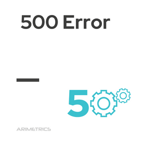 500 Error