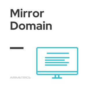 Mirror Domain