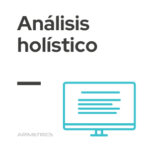 Análisis holístico