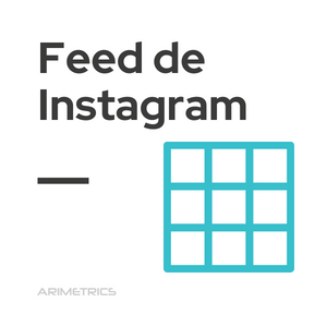 Feed Instagram